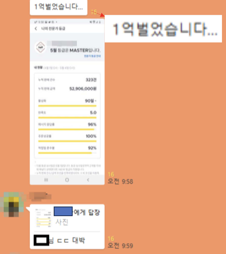 사업가 수익인증